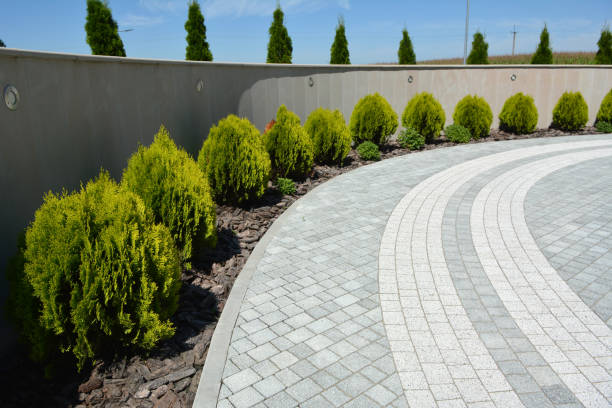 Best Decorative Driveway Pavers  in Pinedale, WY